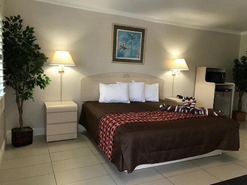 Apollo Inn - Cocoa - image 2