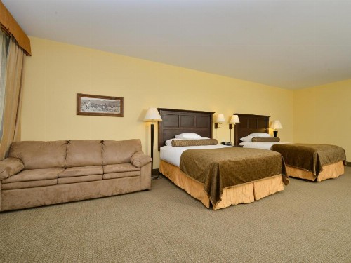 The Cody - image 35