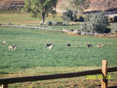 K3 Guest Ranch - image 30