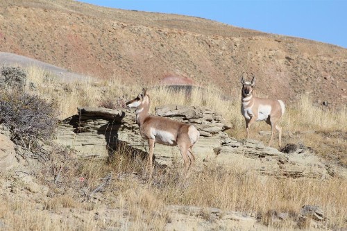K3 Guest Ranch - image 31