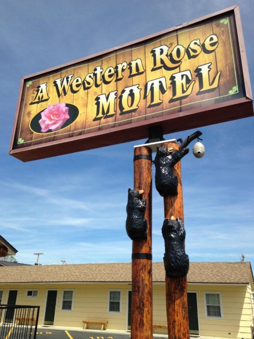 A Western Rose - image 29