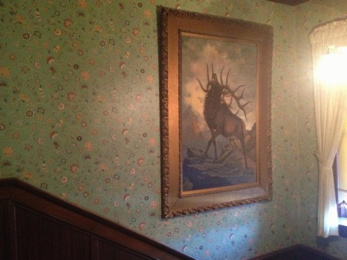Irma Hotel - image 29