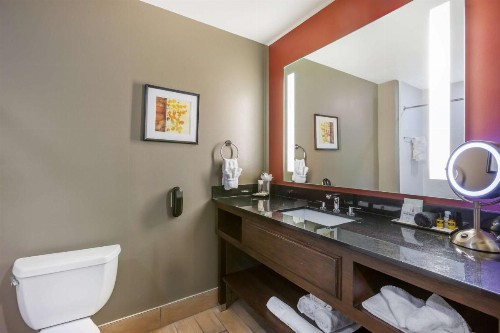 Best Western Premier Ivy Inn & Suites - image 15