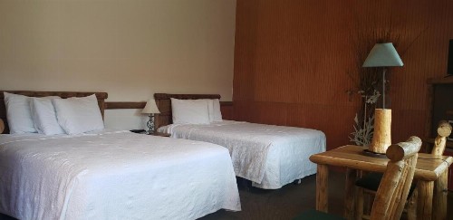 Big Bear Motel - image 6