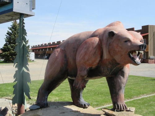 Big Bear Motel - image 7