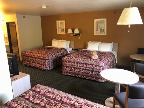 Kings Inn Cody - image 22