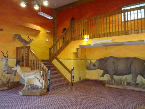 Kings Inn Cody - image 32