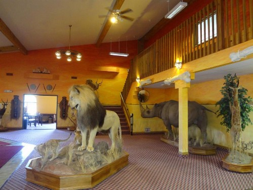 Kings Inn Cody - image 33