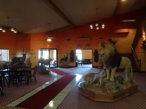 Kings Inn Cody - image 50