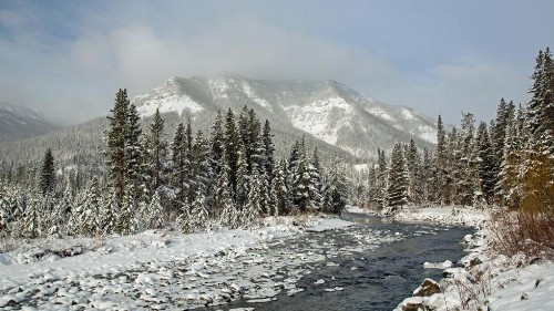 Yellowstone House of the Three Bears - image 32