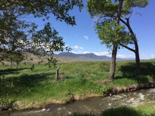 Eycat Lodging Company - image 35
