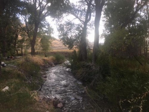 Eycat Lodging Company - image 41