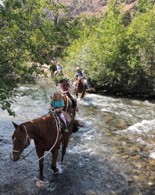 Bill Cody Ranch - image 24