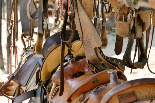 Bill Cody Ranch - image 35