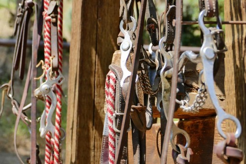 Bill Cody Ranch - image 44