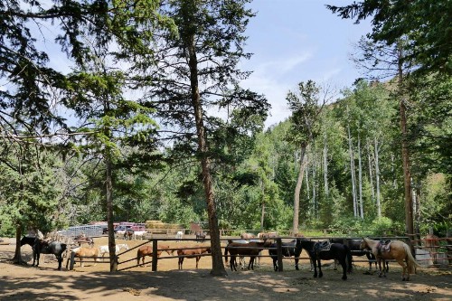 Bill Cody Ranch - image 47