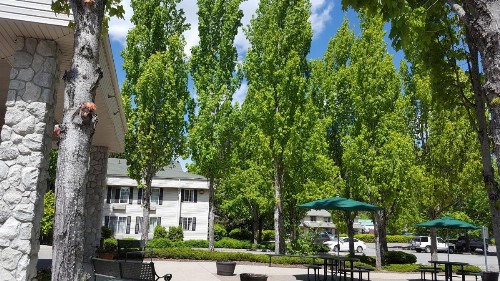 Baymont by Wyndham Coeur D Alene - image 21