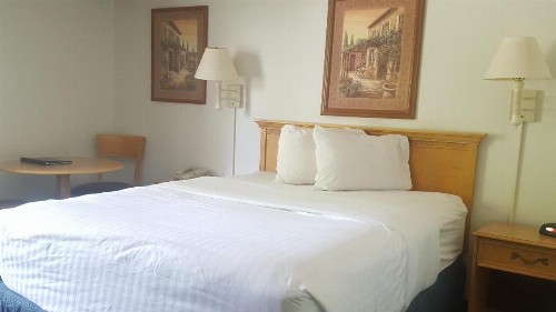 Baymont by Wyndham Coeur D Alene - image 44