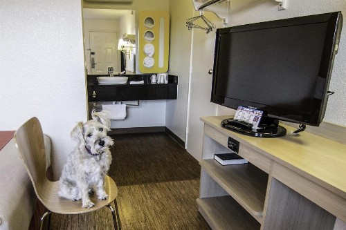 Motel 6-Coeur D'Alene ID - image 35