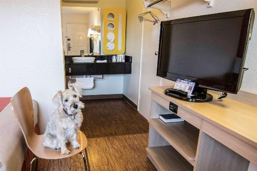 Motel 6-Coeur D'Alene ID - image 50