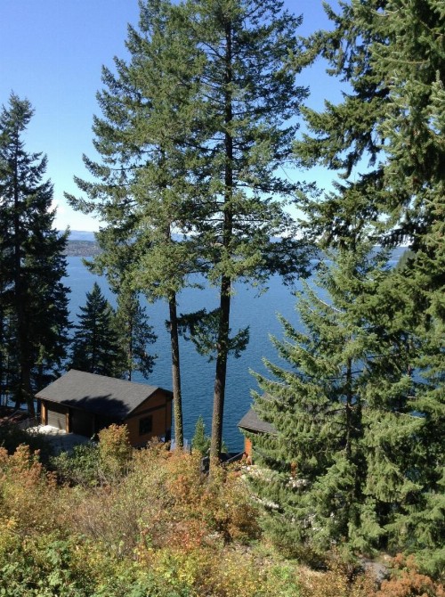 Bennett Bay Inn - image 17