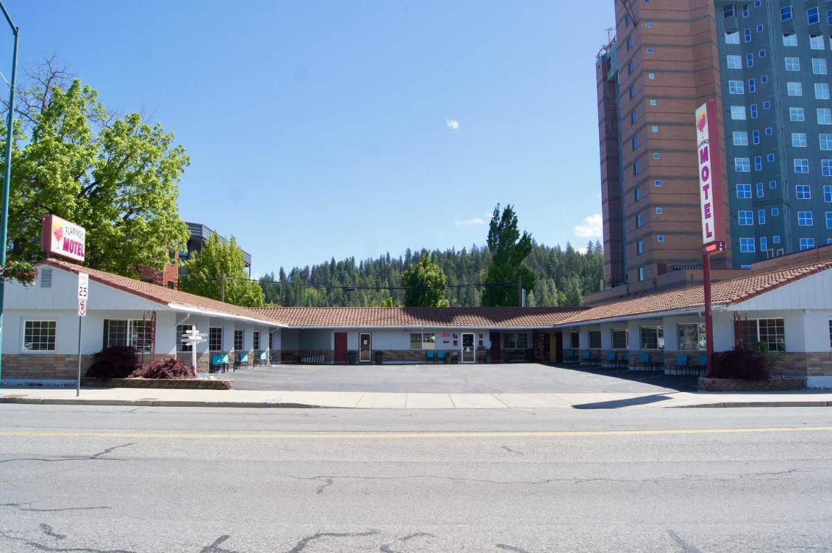 Flamingo Motel - main image