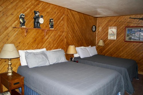 Flamingo Motel - image 4