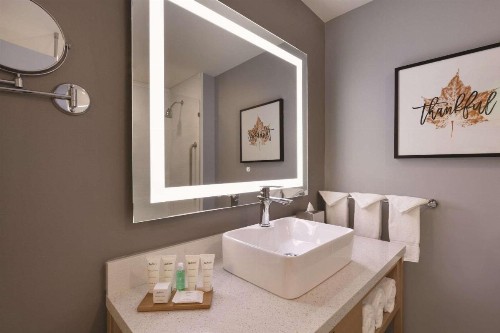 Radisson Hotel Atlanta Airport - image 15