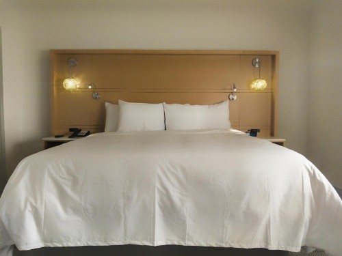 Radisson Hotel Atlanta Airport - image 17