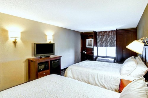 Hampton Inn College Station-Near Texas A&M University - image 16