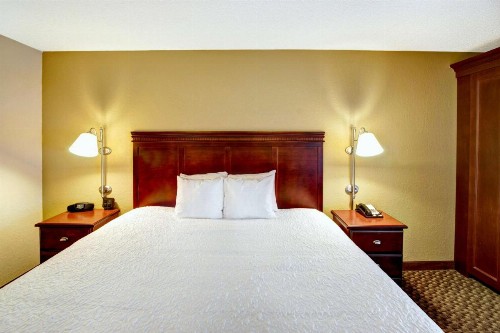 Hampton Inn College Station-Near Texas A&M University - image 22