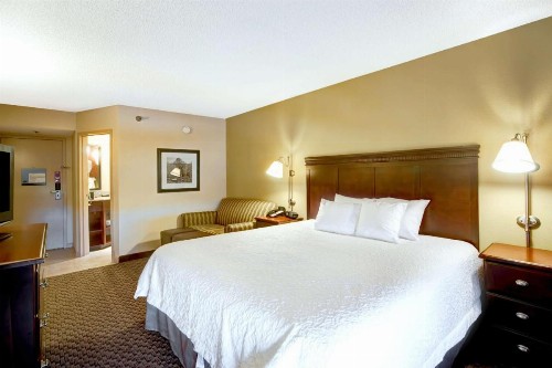 Hampton Inn College Station-Near Texas A&M University - image 27