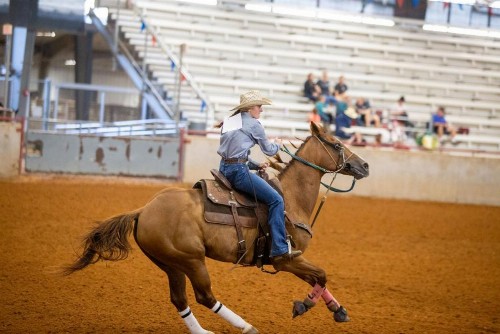 Holiday Inn Express Hotel & Suites College Station an IHG Hotel - image 29