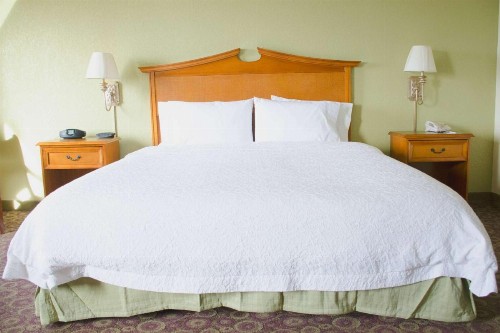 Hampton Inn & Suites College Station - image 15
