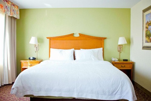 Hampton Inn & Suites College Station - image 24