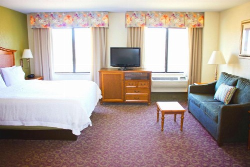 Hampton Inn & Suites College Station - image 28