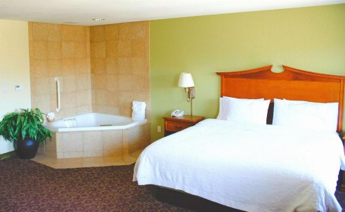 Hampton Inn & Suites College Station - image 30