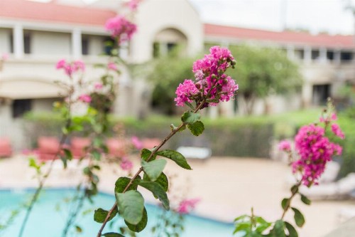 Vineyard Court Designer Suites Hotel - image 33