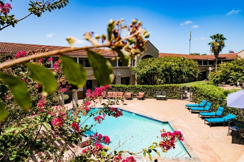 Vineyard Court Designer Suites Hotel - image 8