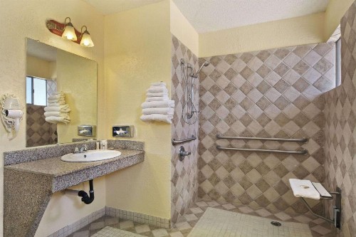 Americas Best Value Inn & Suites-College Station - image 6