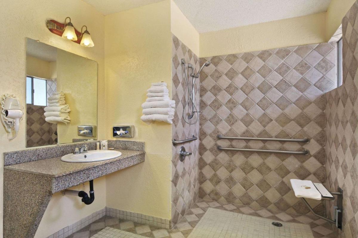 Americas Best Value Inn & Suites-College Station - image 6