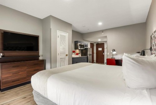 Hawthorn Suites by Wyndham College Station - image 33