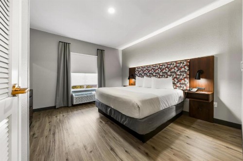 Hawthorn Suites by Wyndham College Station - image 38
