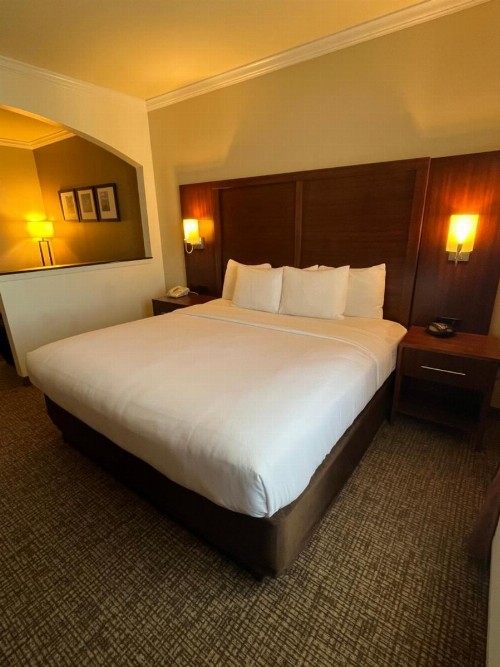 Comfort Suites Texas Avenue - image 11