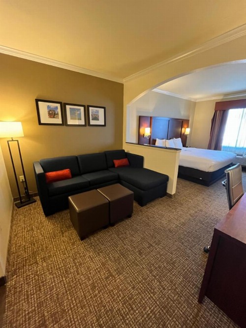 Comfort Suites Texas Avenue - image 13
