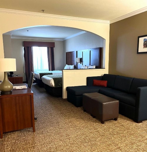 Comfort Suites Texas Avenue - image 16