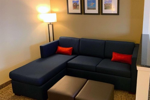 Comfort Suites Texas Avenue - image 2