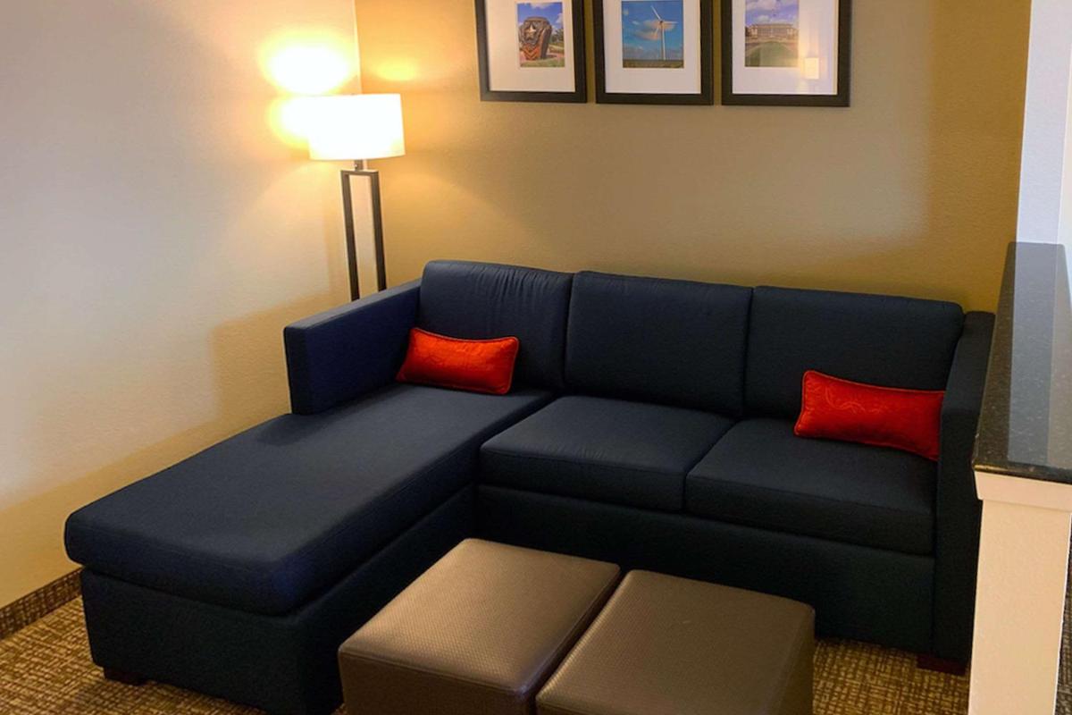 Comfort Suites Texas Avenue - image 2