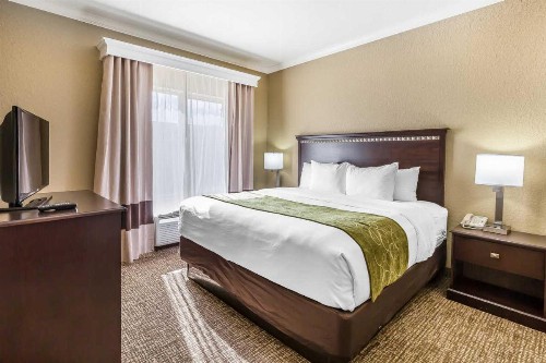 Comfort Suites Texas Avenue - image 28