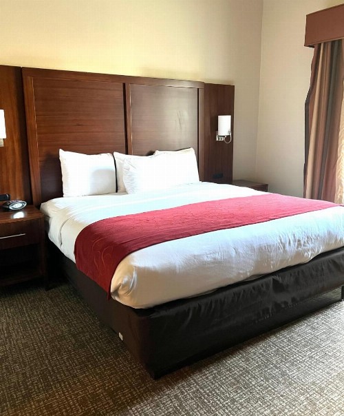 Comfort Suites Texas Avenue - image 29